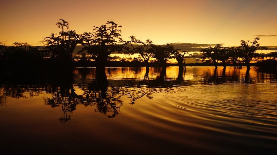 landscape of the forest and lake at the sunset