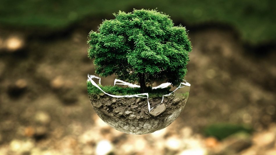 environmental protection environment