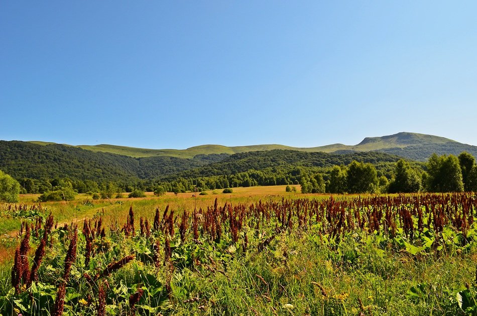 panorama of the green mountain landscape