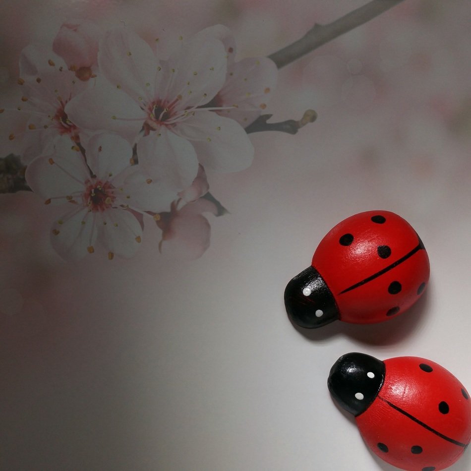 lucky charm as a symbol