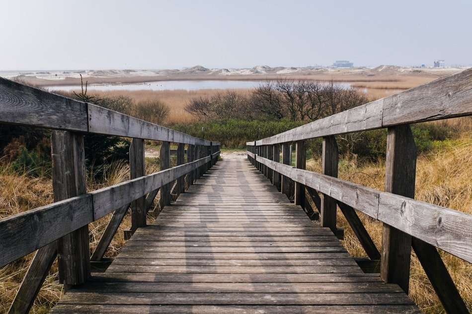 Photo of the stairs made of the wood