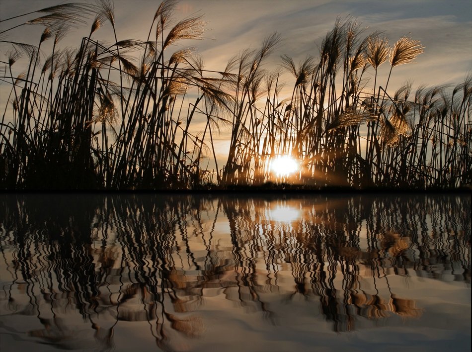 mirroring water at the sunset