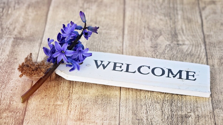 sign wELCOM and lilac flower