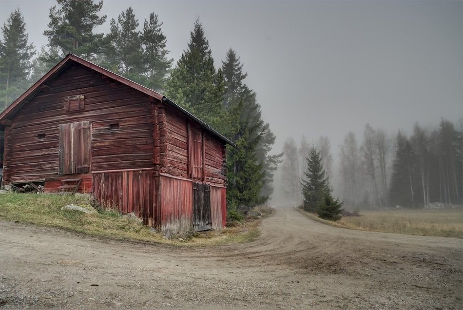 wooden shed near forest in sweden