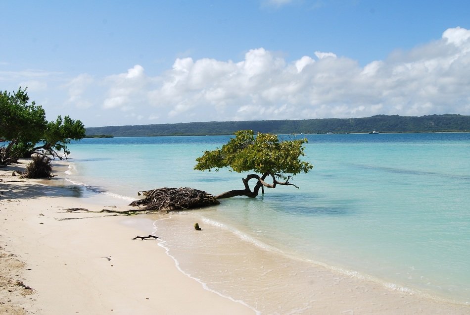 scenic tropical beach