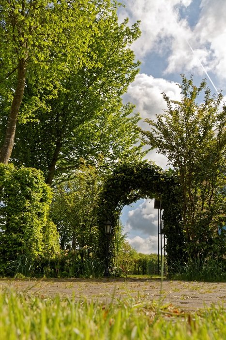 Beautiful and green archway in the garden