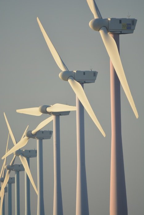 nature windmills standing in line