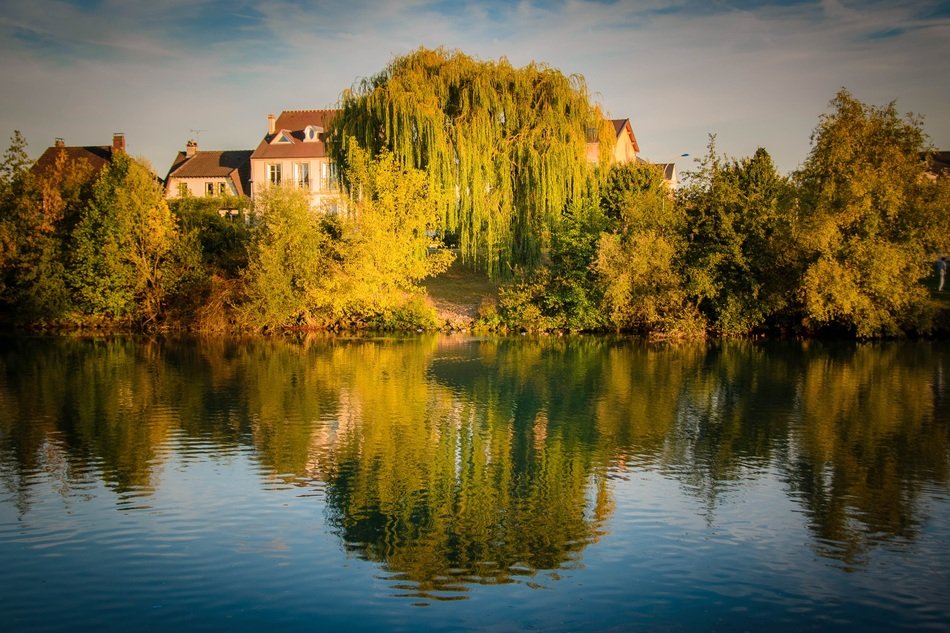 village buildings behind trees at water