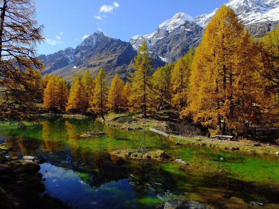 Lake near the colorful forest on the beautiful landscape in the Valle D'Aost, Italy