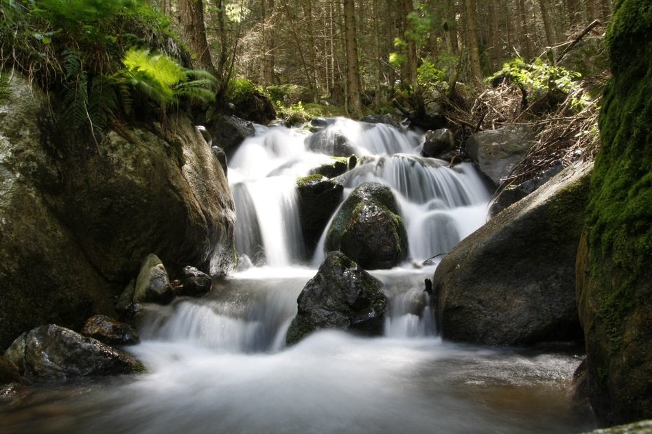 beautiful waterfall in the forest