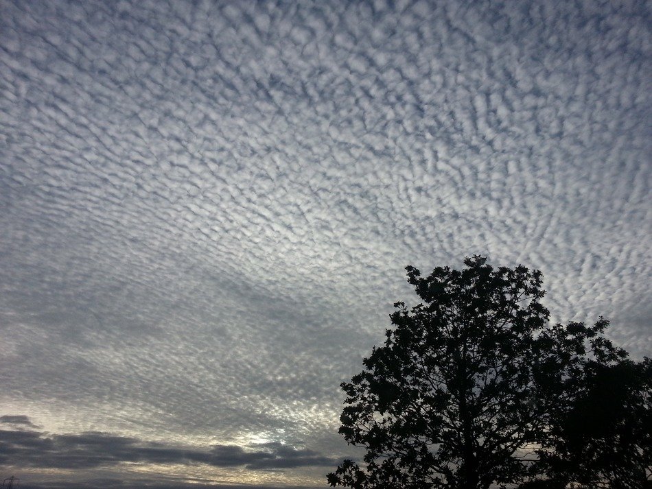wintry cloudy sky