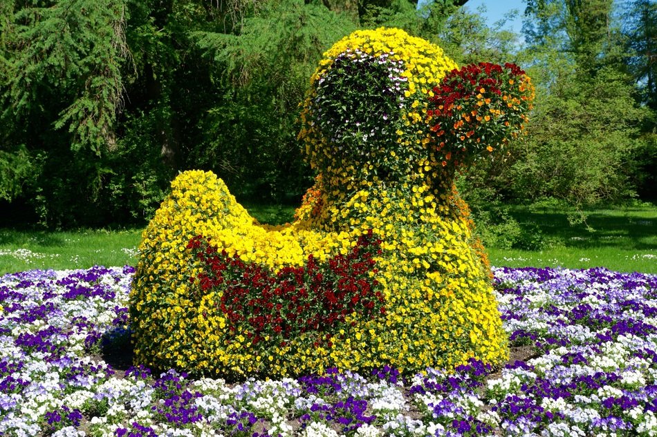 plant flowers in form of bird