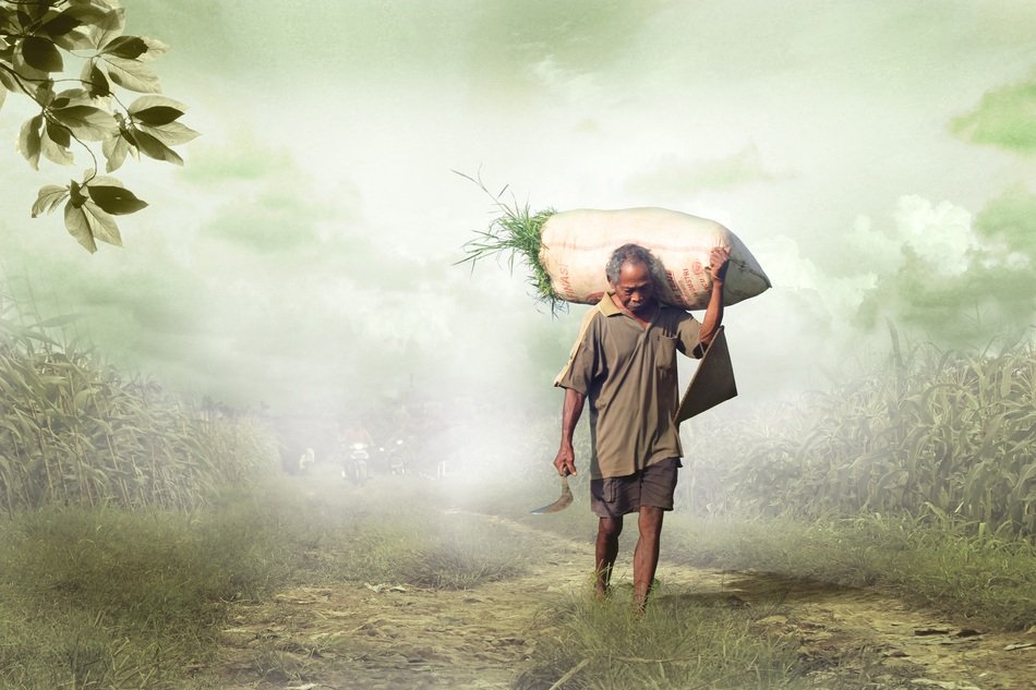 farm man with bag of grass