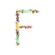 Watercolor floral monogram F