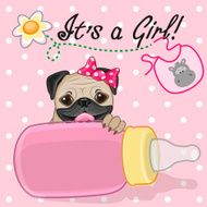 Pug Dog girl