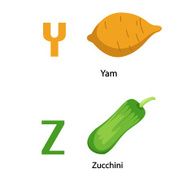Alphabet Y-Z letter yam zucchini vector