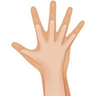 Children&#039;s and adult hands