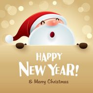 Happy New Year and Merry Christmas!