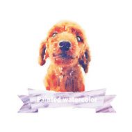 Vector set of watercolor illustration watercolor Dog