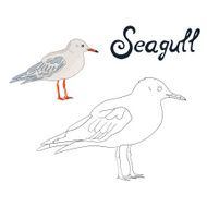 Educational game coloring book seagull bird vector