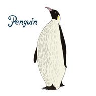 Bird penguin vector illustration