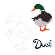 Educational game connect dots to draw duck bird