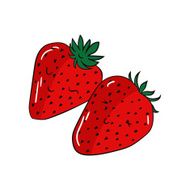 Fruit strawberry vector illustration