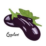 Vegetable eggplant vector illustration