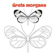 Educational game coloring book butterfly vector N2