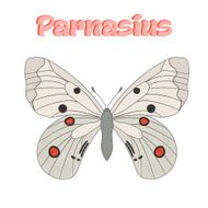 Butterfly parnasius vector illustration