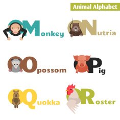 Animal Alphabet N3