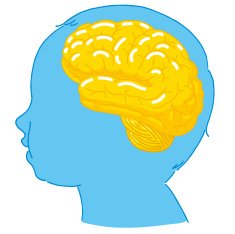 Baby brain