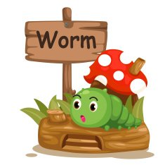 animal alphabet letter W for worm