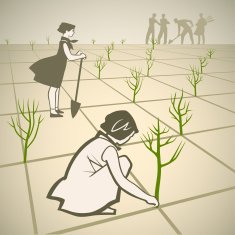 Planting Trees N2