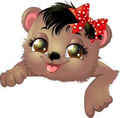 small bear shows