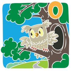 Little owl Alphabet O