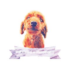 Vector set of watercolor illustration watercolor Dog