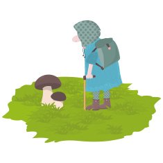 mushroom picker