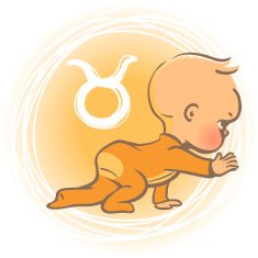 Baby zodiac Taurus N2