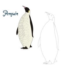 Educational game connect dots to draw penguin bird