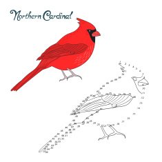 Educational game connect dots draw cardinal bird N2