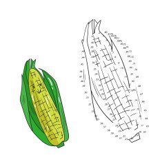 Educational game connect dots to draw corn vector