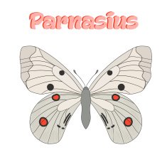 Butterfly parnasius vector illustration