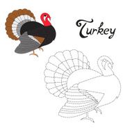 Educational game connect dots to draw turkey bird
