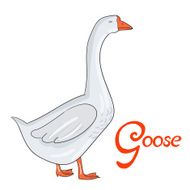 Bird goose vector illustration