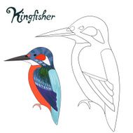 Educational game coloring book kingfisher bird