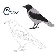 Educational game connect dots to draw crow bird