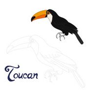 Educational game connect dots to draw toucan bird