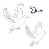 Educational game coloring book dove bird