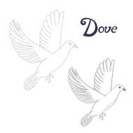 Educational game connect dots to draw dove bird